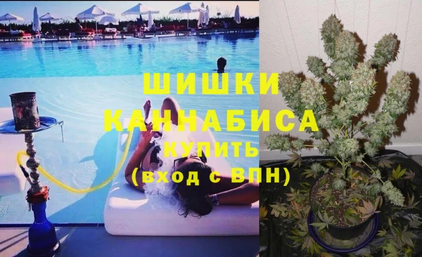 мдпв Мегион