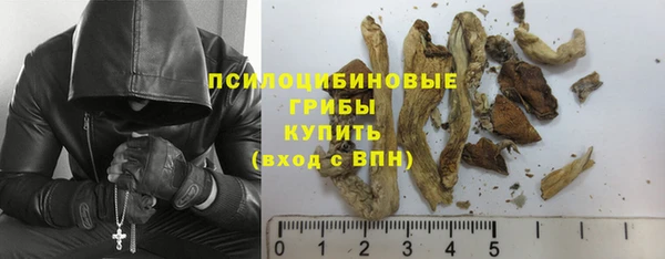ECSTASY Михайловка