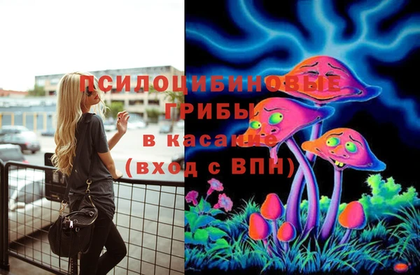мдма Михайловск